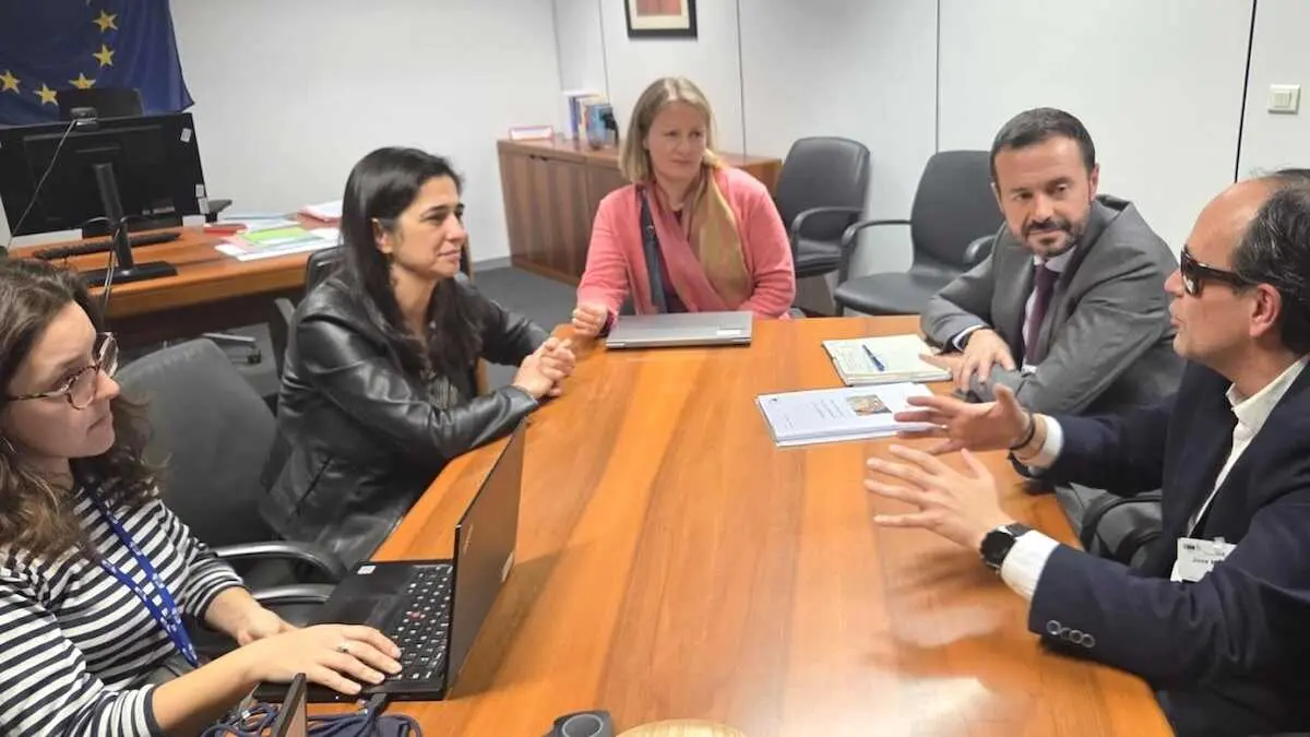 Castilla-La Mancha traslada a la Comisión Europea sus avances en accesibilidad universal