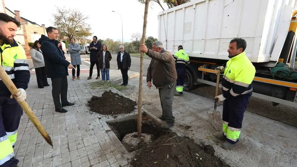 El tercer Plan de Arbolado de Toledo prevé 2.000 nuevos árboles hasta abril de 2026