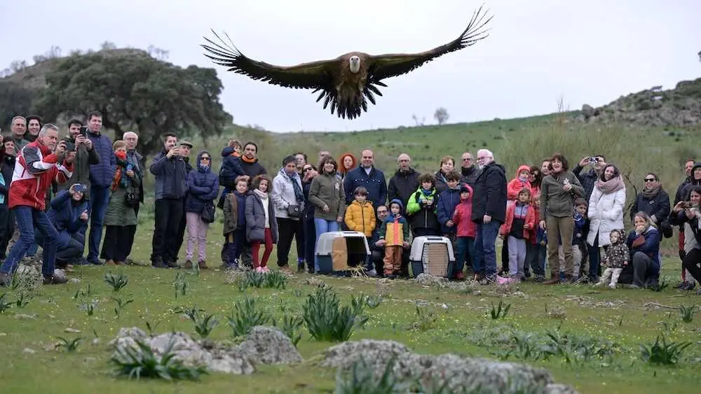 La Bienvenida acoge el VI Festival de las Grullas del Valle de Alcudia en enero