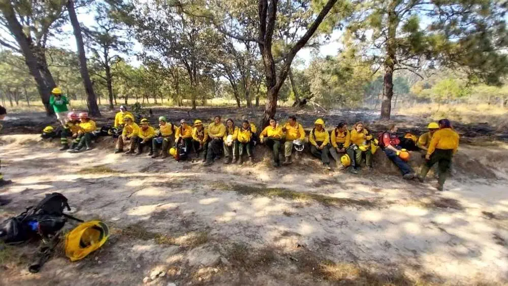 Castilla-La Mancha acoger&aacute; el Wtrex Quijota, primer programa Trex de incendios en Espa&ntilde;a