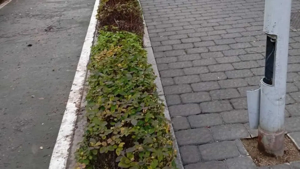 El Ayuntamiento de Albacete condena los nuevos robos de cable y pide m&aacute;s civismo y responsabilidad