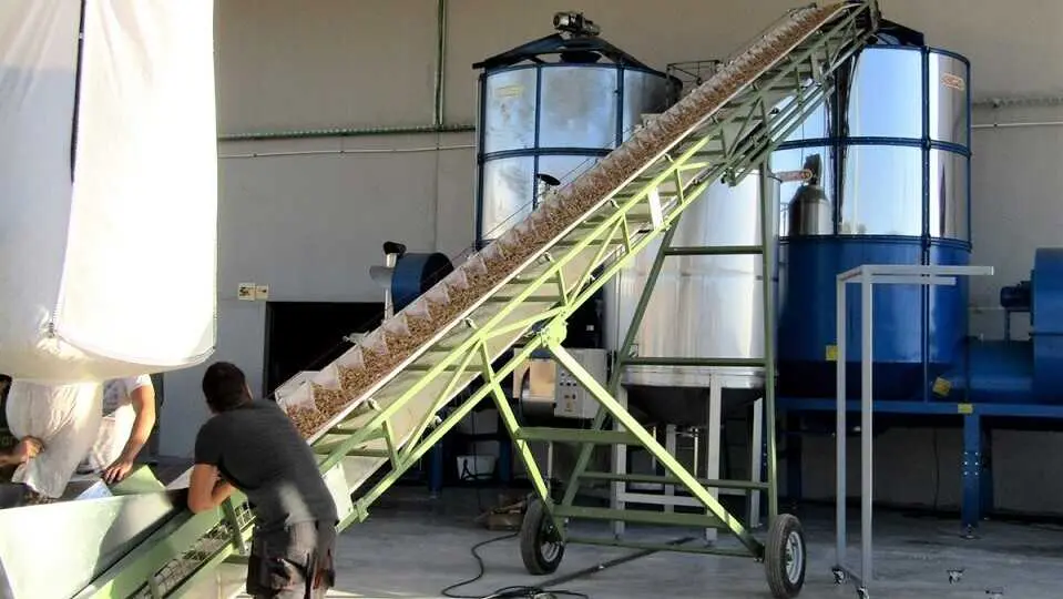 pistacho, cooperativa, pistachos,