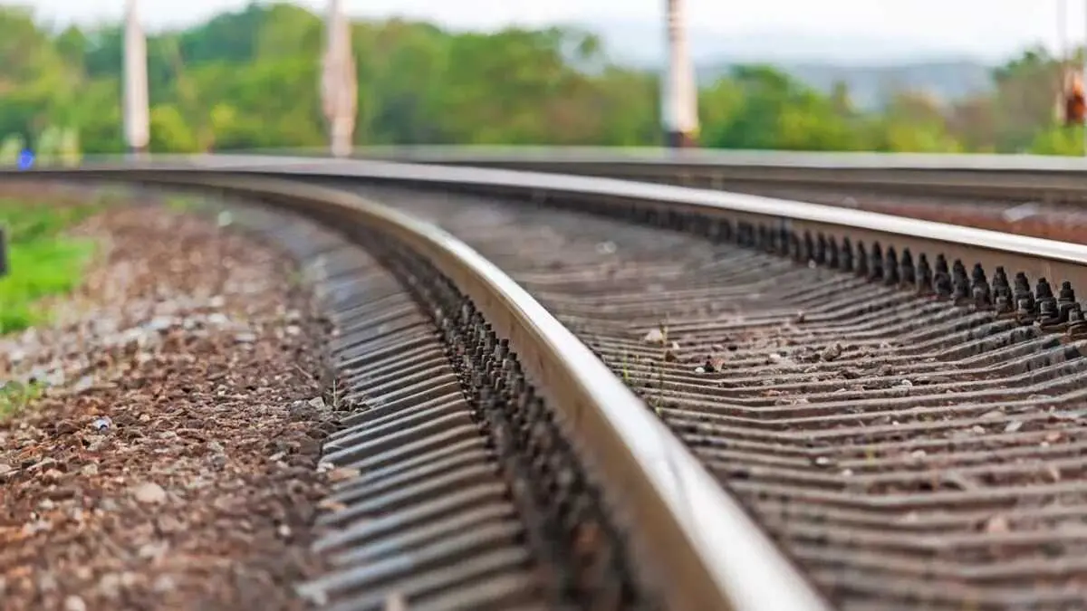 Mueren dos ni&ntilde;os de 7 y 11 a&ntilde;os arrollados por un tren intentando salvar a su perro, catenaria, v&iacute;as del tren, ferrocarril,&nbsp;