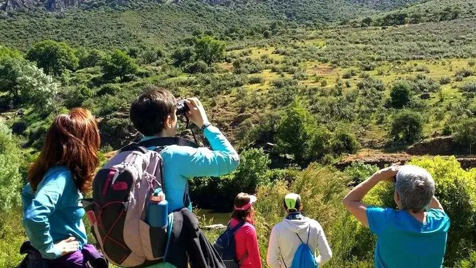 Castilla-La Mancha cierra 2022 con 647.990 viajeros y 1.754.966 pernoctaciones extrahoteleras, turismo rural, turistas, viajeros, alojamientos rurales, excursionistas,&nbsp;