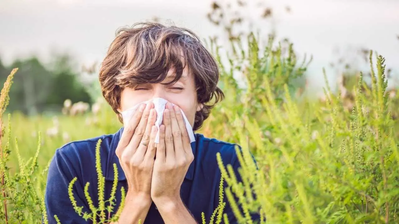 Los al&eacute;rgicos al polen se enfrentan a una primavera intensa, sobre todo en Toledo y Madrid, alergia,&nbsp;