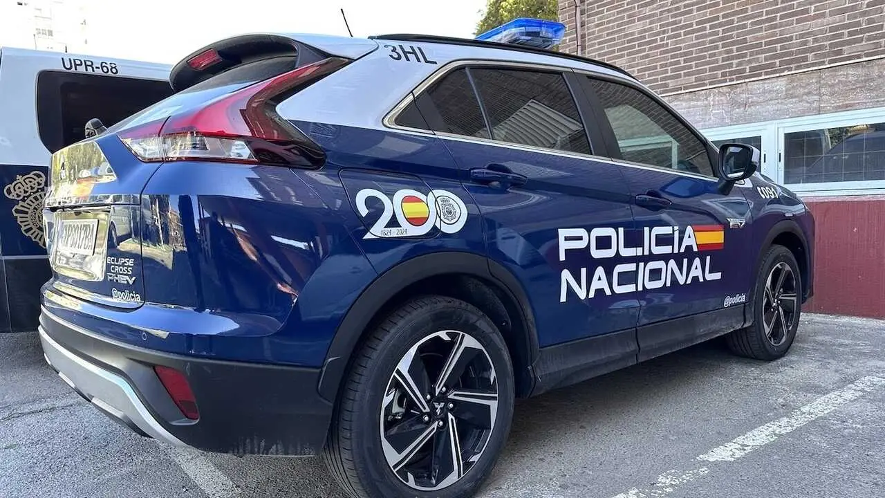 Polic&iacute;a Nacional, patrulla, detenido, agentes,