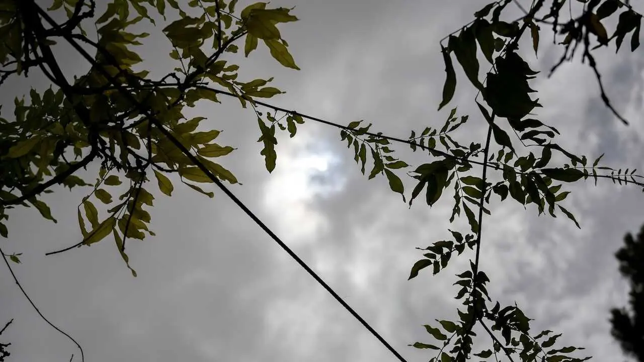 La red de control y vigilancia de la calidad del aire de Castilla-La Mancha ha alertado de la presencia de elevados niveles de material particulado (PM10) por intrusiones de masas de aire sahariano - EFE/Jes&uacute;s Monroy
