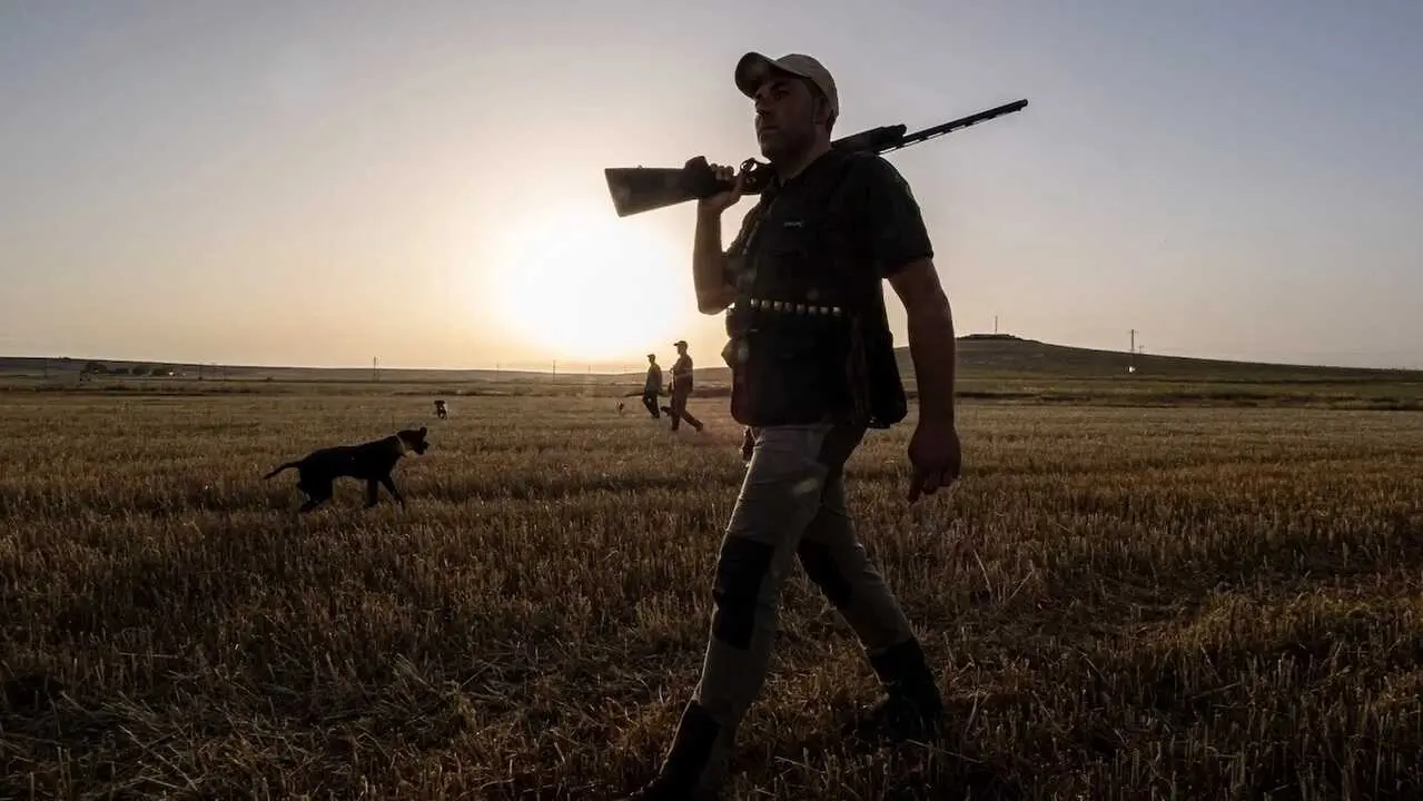 cazador, caza, cazadores, batida, coto de caza, cazando, sector cineg&eacute;tico, actividad cineg&eacute;tica