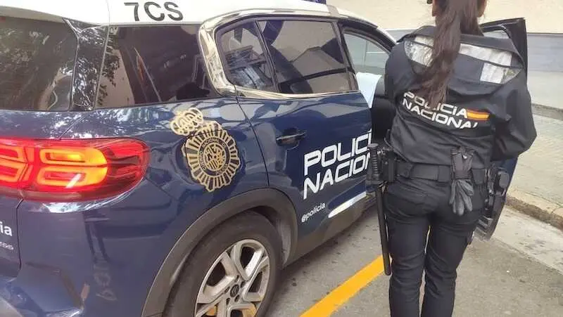 detenido, polic&iacute;a nacional, detenida, agente, patrulla