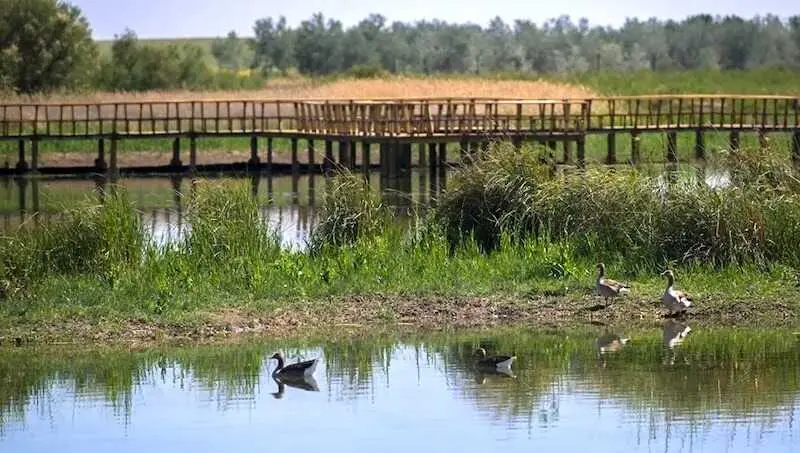 Fotograf&iacute;a de un sector del Parque Nacional de las Tablas de Daimiel (Ciudad Real) - EFE/Jes&uacute;s Monroy