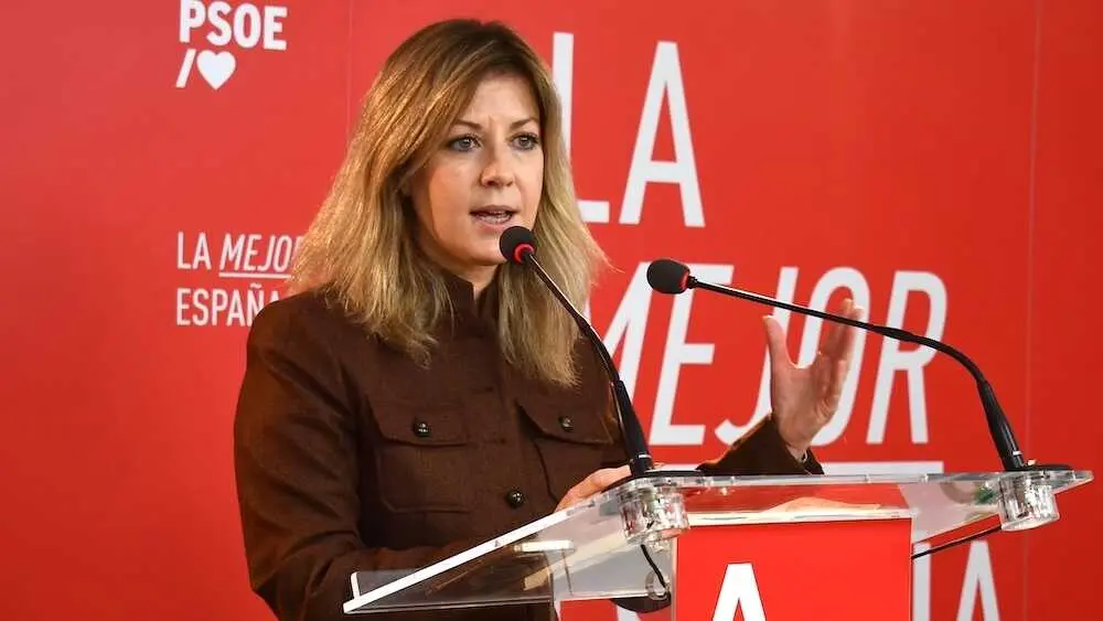 La portavoz del PSOE en las Cortes de Castilla-La Mancha, Ana Isabel Abeng&oacute;zar, durante la rueda de prensa que ha ofrecido en Alc&aacute;zar de San Juan (Ciudad Real)