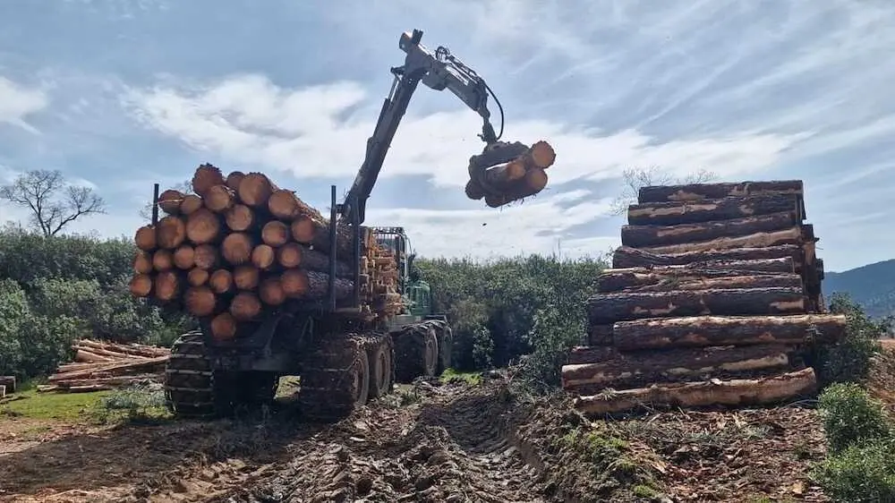 Castilla-La Mancha impulsa siete nuevas mancomunidades forestales en la regi&oacute;n