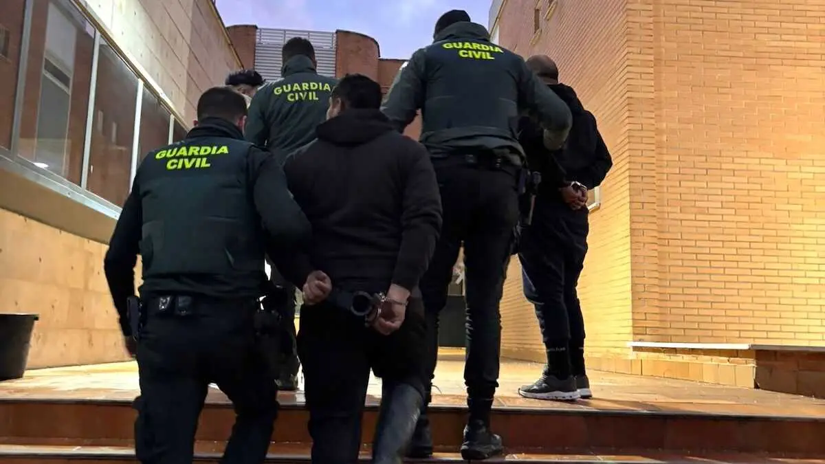 Roban cable en Guadalajara y provocan la muerte de cientos de lechones, detenidos,