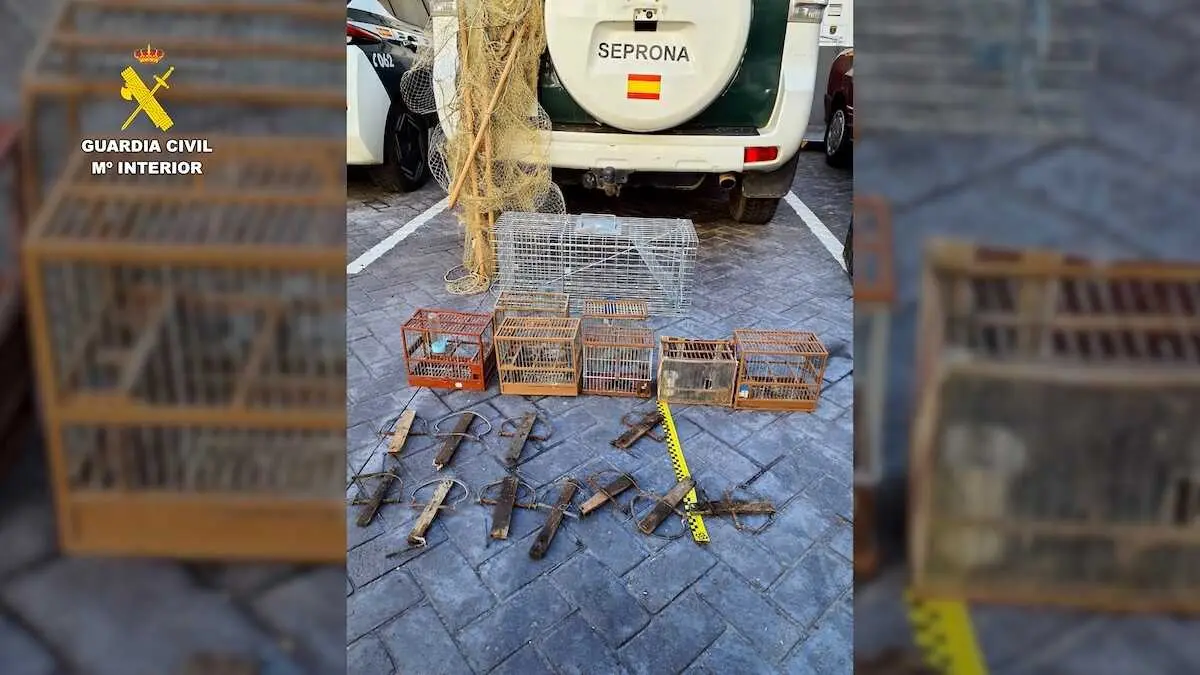 Investigada una persona por capturar jilgueros de forma ilegal en Talavera de la Reina (Toledo)