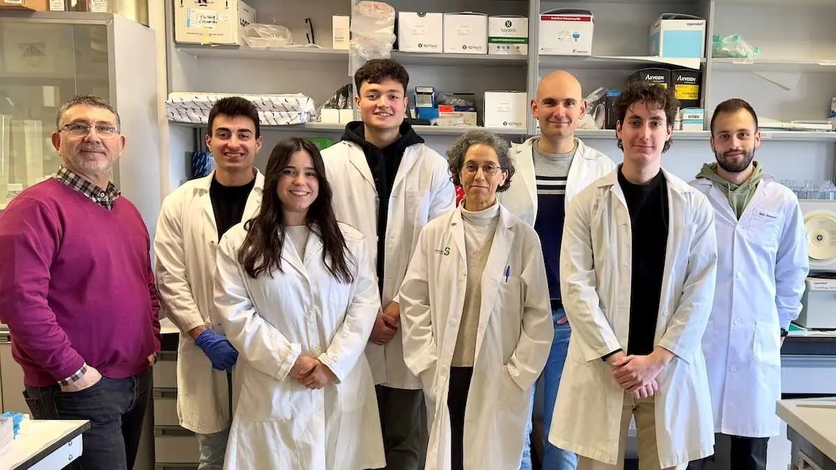 Un estudio liderado por UCLM y el CSIC identifica dos prote&iacute;nas clave en el desarrollo de los sarcomas