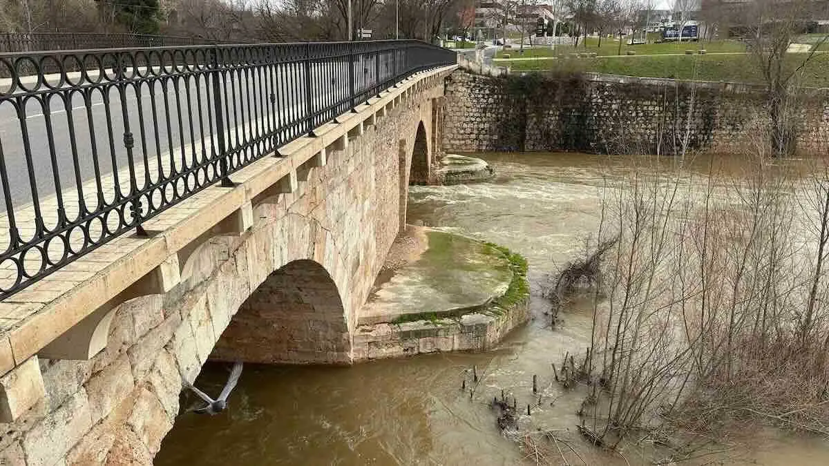 Guadalajara actuar&aacute; en el Puente &Aacute;rabe tras requerimientos de la Junta