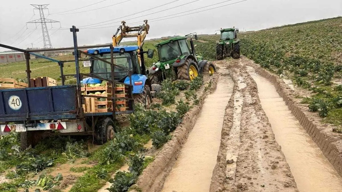 agricultura, da&ntilde;os, temporal, tormentas, borrasca, campo, borrascas, pedrisco, inundaciones, seguros,&nbsp;