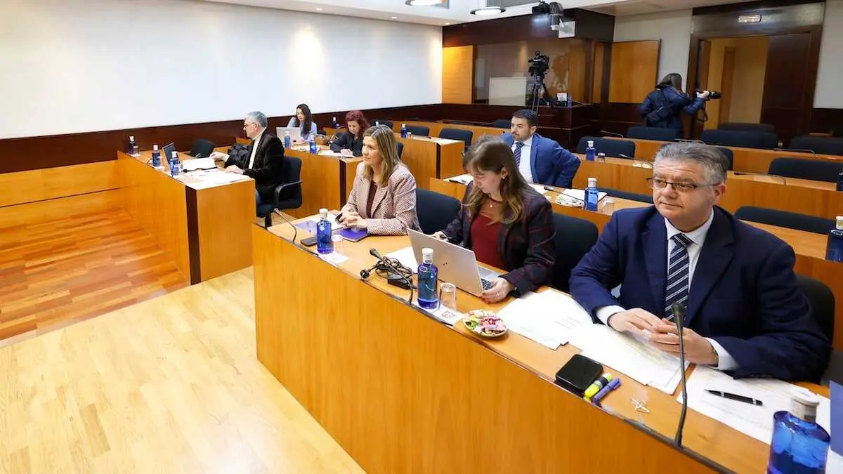 En la imagen un instante de la Comisi&oacute;n de Sanidad de las Cortes de Castilla-La Mancha reunida este martes para debatir las enmiendas a la Ley de Farmacia