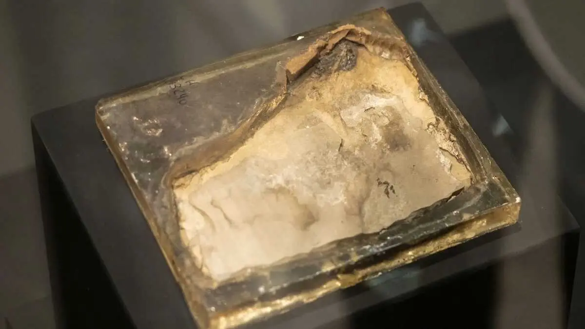 El nuevo f&oacute;sil hallado en el yacimiento conquense de Las Hoyas se exhibe ya en el Museo de Paleontolog&iacute;a de Castilla-La Mancha - EFE/&Aacute;lvaro del Olmo