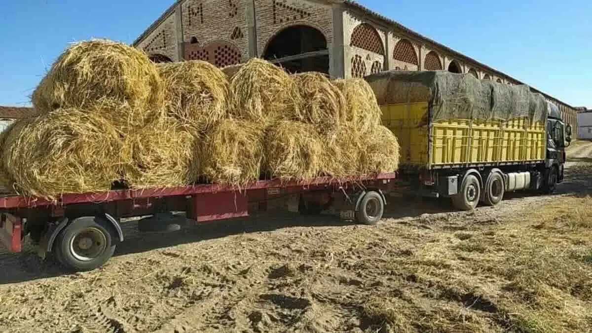 Muere un joven en Guadalajara aplastado por 400 kilos de paja