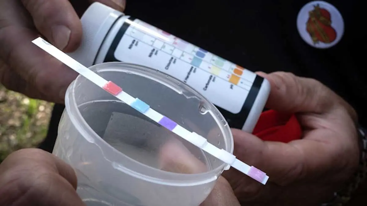 Greenpeace alerta: 309 municipios de Castilla-La Mancha beben agua con nitratos