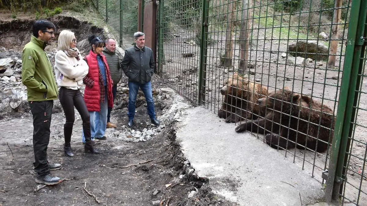 El Hosquillo estrena temporada con una nueva pasarela para ver osos