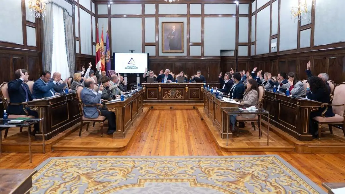 En la imagen un instante del Pleno de la Diputaci&oacute;n de Guadalajara celebrado este viernes