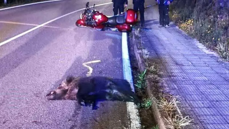 Imagen de archivo de un accidente con una motocicleta y un jabal&iacute; implicados