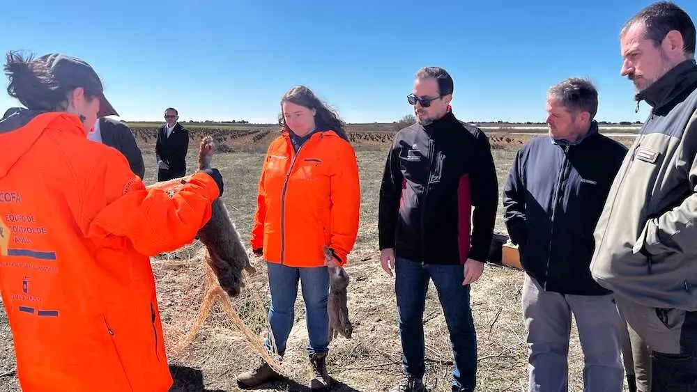 Castilla-La Mancha activa equipos especiales contra el conejo de monte