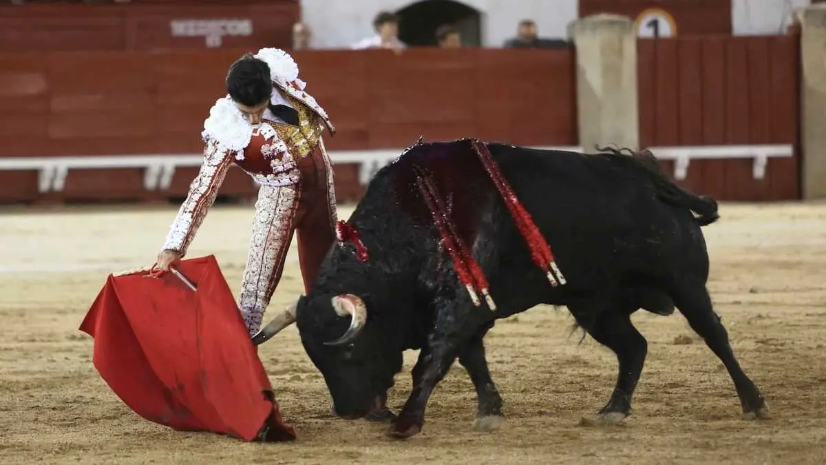 Puerta Grande para &Aacute;lvaro Lorenzo en su gesta solidaria en Toledo