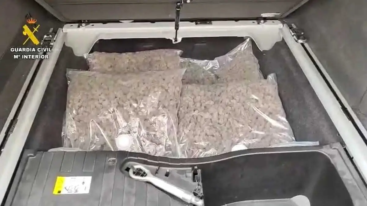 Un doble fondo esconde cuatro kilos de marihuana en Calypo Fado