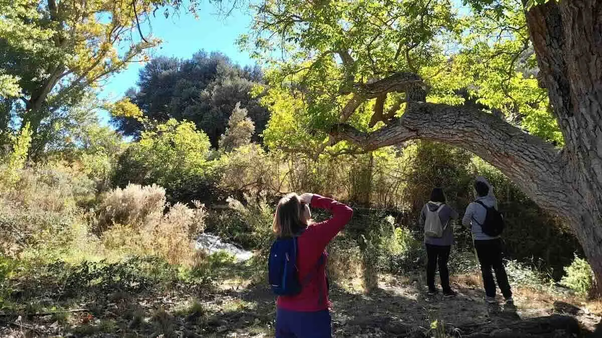 El programa ambiental 'Vive tu espacio' ofrece 40 actividades en los parques naturales de Castilla-La Mancha