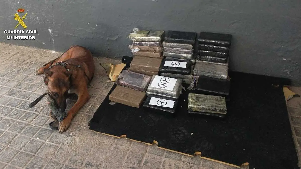Un perro de la Guardia Civil halla 46 kilos de coca&iacute;na en una furgoneta