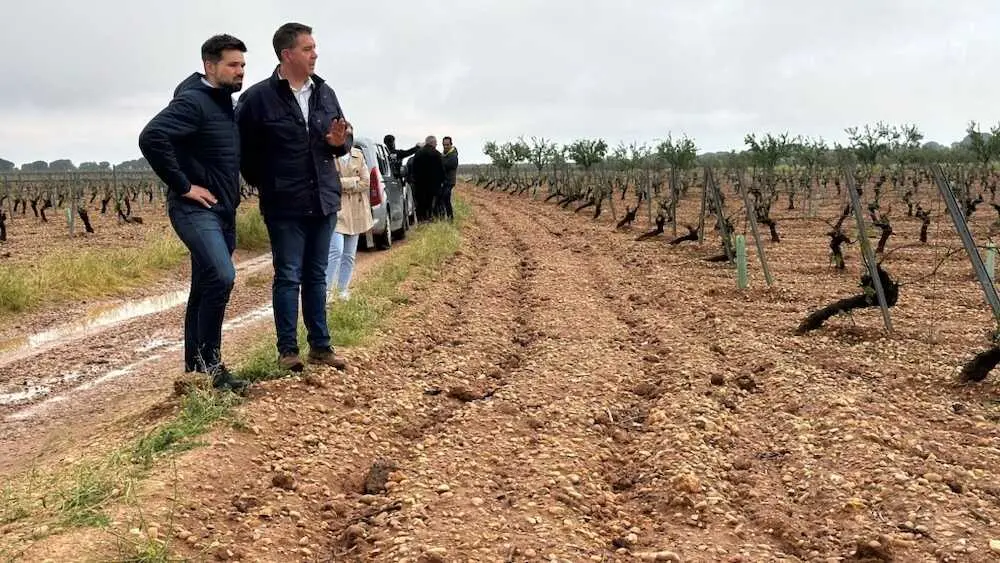 La Diputaci&oacute;n de Albacete resuelve ayudas para caminos por 3 millones