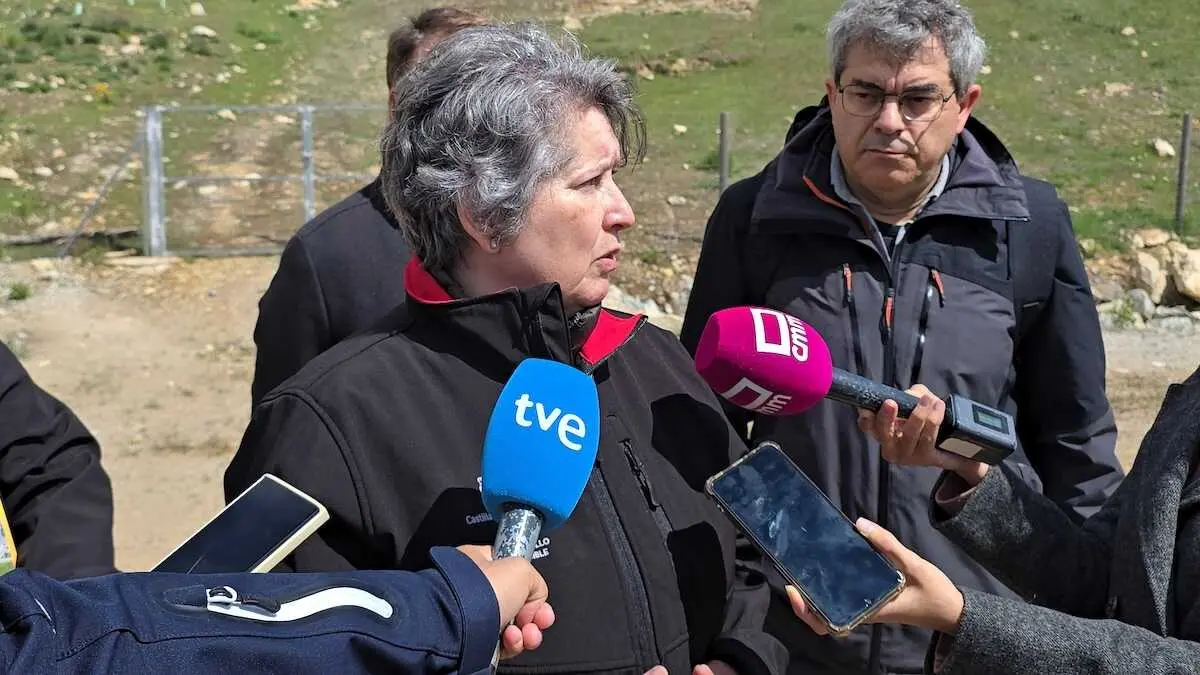 La consejera de Desarrollo Sostenible de Castilla-La Mancha, Mercedes G&oacute;mez, atendiendo a los medios este lunes en Guadalajara.