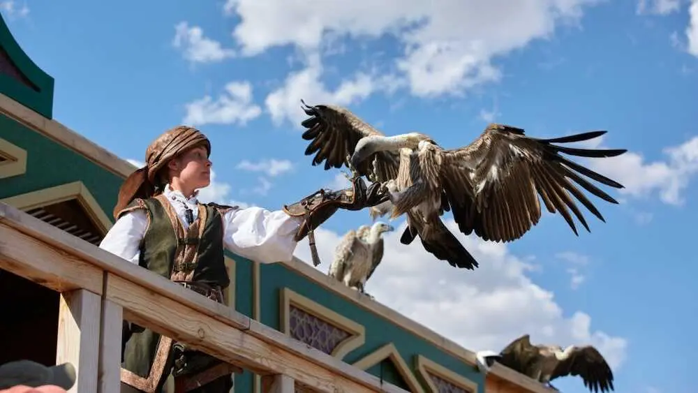 En la imagen uno de los espect&aacute;culos de cetrer&iacute;a en el parque de Puy du Fou de Toledo