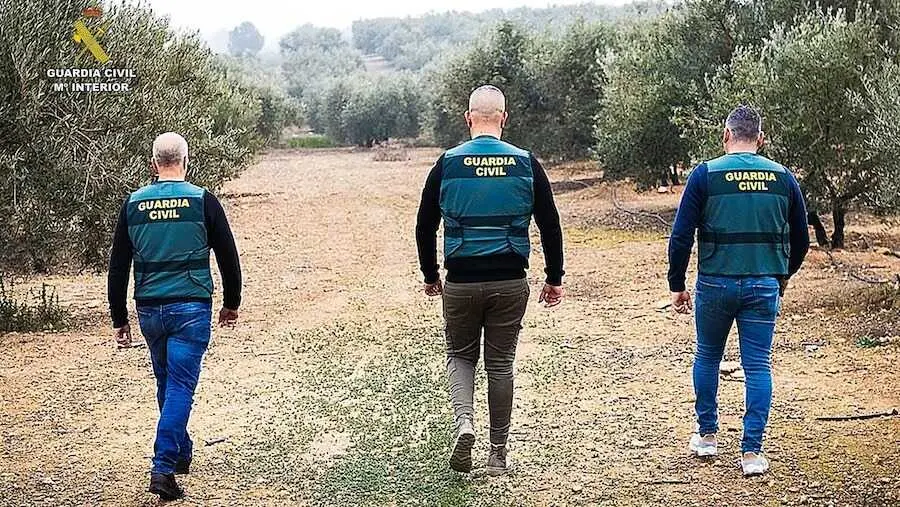 Hallan un arsenal de armas oculto entre Toledo y Colmenar Viejo