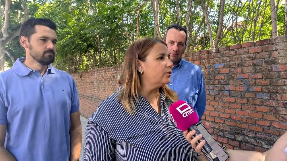 La presidenta del PSOE de la provincia de Toledo, Tita Garc&iacute;a &Eacute;lez, atendiendo a los medios este s&aacute;bado en Talavera de la Reina (Toledo)