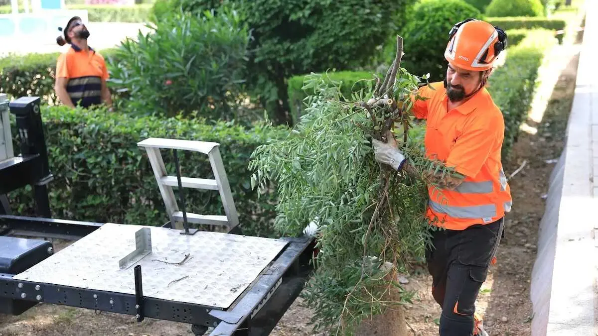 Varios operarios trabajan en un parque p&uacute;blico de Toledo este martes - EFE/Ismael Herrero, paro, empleo, trabajadores, jardineros, trabajo, EPA, encuesta de poblaci&oacute;n activa,&nbsp;