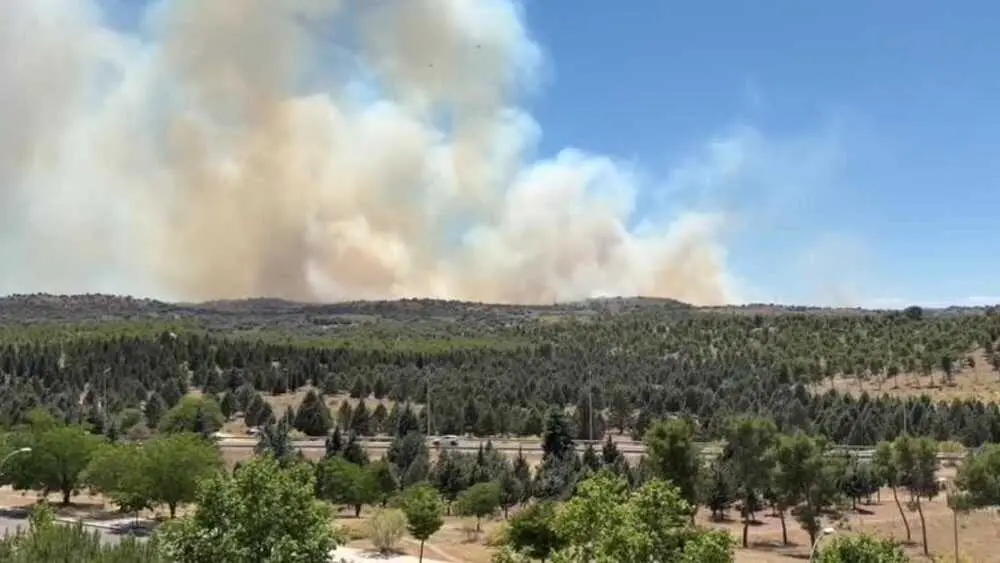 Un incendio de nivel 2 en terrenos de la Academia de Infanter&iacute;a de Toledo obliga a desalojar la urbanizaci&oacute;n Las Nieves de Nambroca