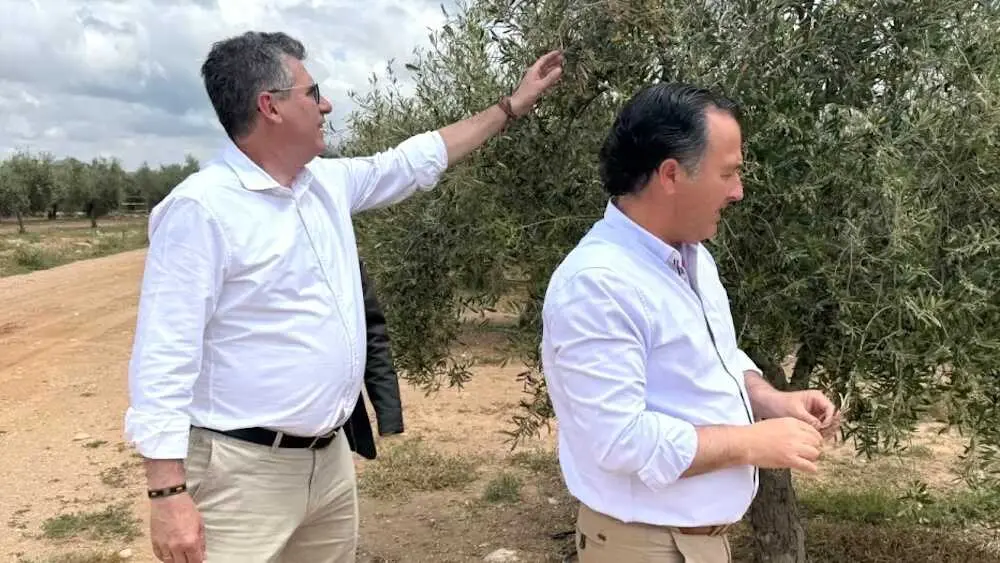 El presidente de Vox en las Cortes de Castilla-La Mancha, David Moreno, en una imagen de rchivo en su visita a un olivar