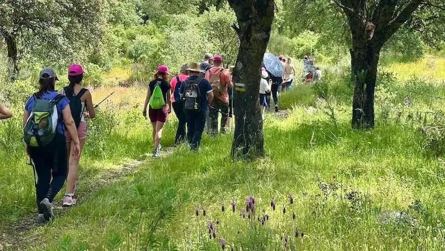 La Diputaci&oacute;n de Toledo crea 18 rutas senderistas en la Campana de Oropesa, senderismo, senderos,