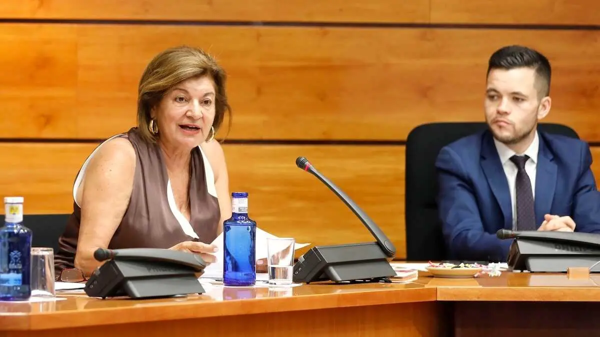 La directora general de Radiotelevisi&oacute;n de Castilla-La Mancha (CMM), Carmen Amores, durante su comparecencia este mi&eacute;rcoles en las Cortes regionales.