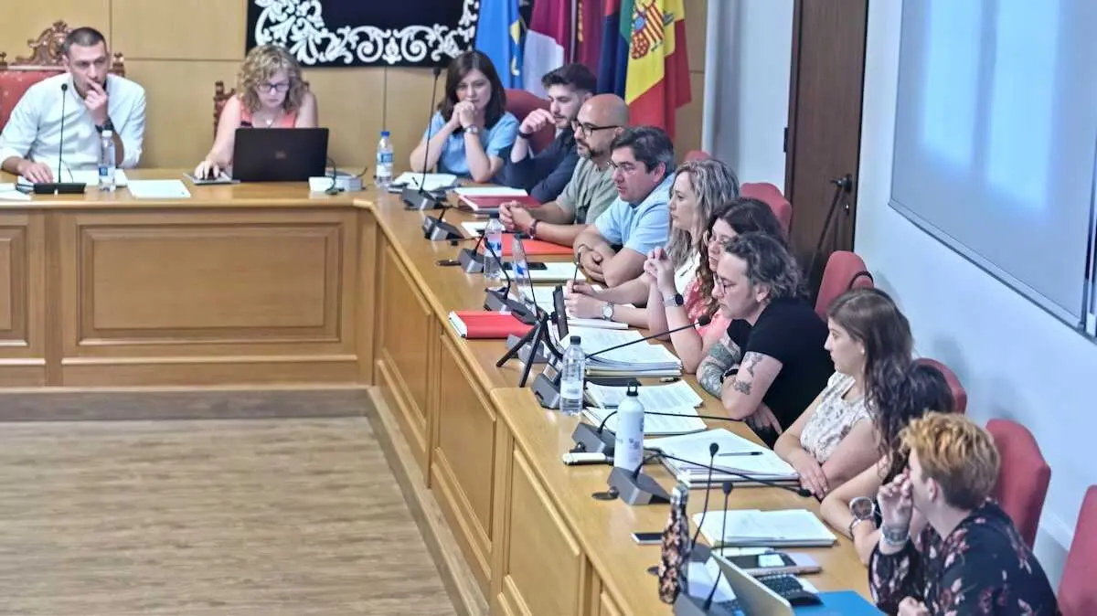 El concejal Ra&uacute;l Casares, a la derecha con camiseta negra, durante su intervenci&oacute;n plenaria - Fotograf&iacute;a: Ayuntamiento de Sese&ntilde;a (Toledo)