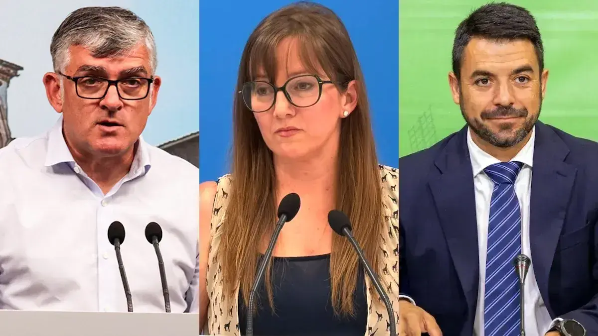 El presidente del PSOE en las Cortes de Castilla-La Mancha, &Aacute;ngel Tom&aacute;s Godoy; la diputada regiomal del PP, Tania Andicoberry; y el portavoz de Vox en el parlamento, Iv&aacute;n S&aacute;nchez.