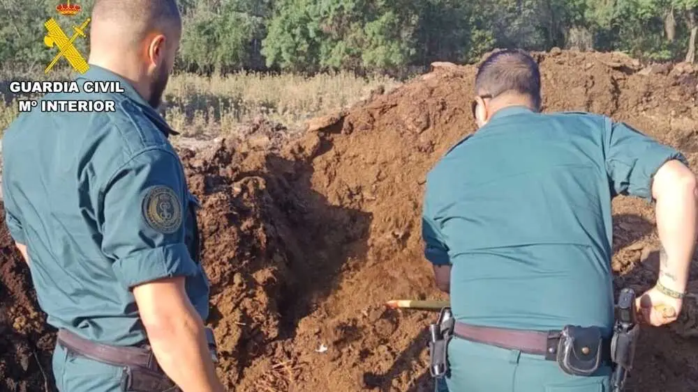Detenido por matar a tiros a cinco perros en una finca de La Sagra toledana