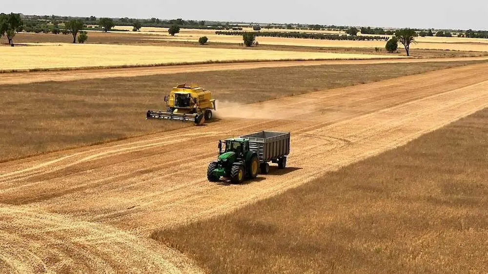 En la imagen de archivo una cosechadora y un tractor trabajan en la recolecci&oacute;n de cereal, agricultura, PAC, pol&iacute;tica agraria com&uacute;n, fertilizantes, cosecha, recolecta, cereales,&nbsp;