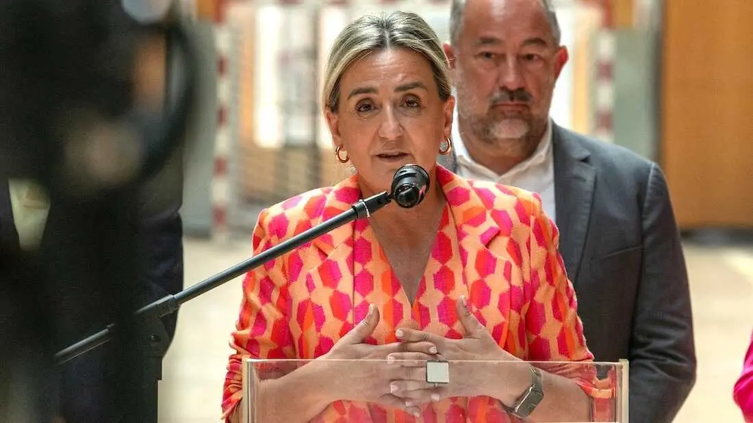 La ministra de Educaci&oacute;n, Cultura y Deportes, Milagros Tol&oacute;n, este viernes en declaraciones a los medios en Toled.