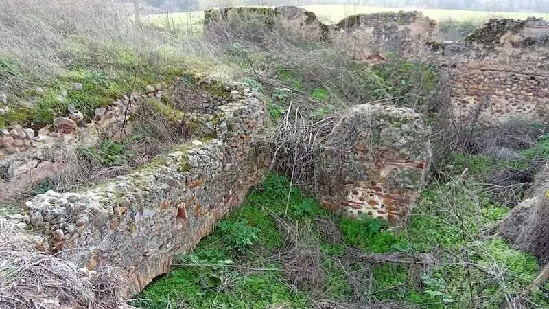 La villa romana de Las Tamujas de Malpica de Tajo (Toledo), en la Lista Roja