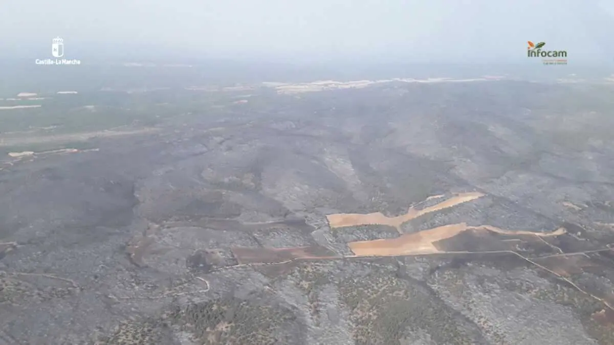 Vista a&eacute;rea de una de las zonas calcinadas por el incendio forestal de Salas (Guadalajara) captada por el INFOCAM.
